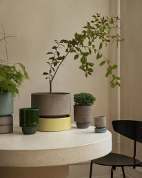 Creiamo spazi unici dall’Estetica Green-plab-1