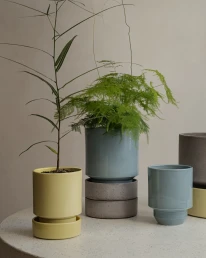 Quali sono gli Step-plove-1