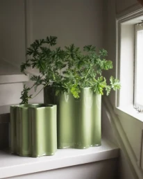 Quali sono gli Step-plove-5