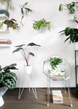 plove-plant-love-4
